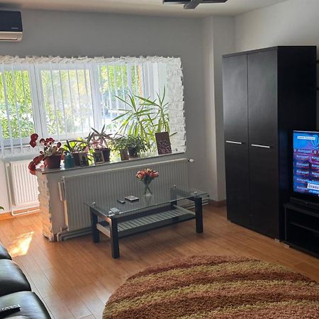 Apartament 3 Camere Otopeni Kültér fotó